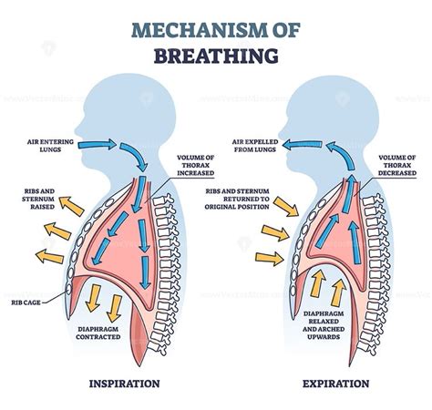 breath auf deutsch|in the same breath def.